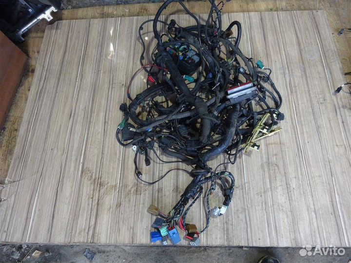 Проводка моторная Ford Mondeo III (2000—2003)