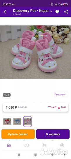 Кеды для собачки