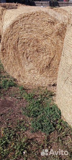 Солома в рулонах