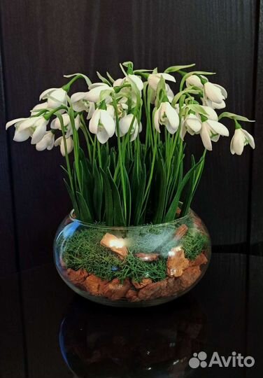 Цветы из полимерной глины