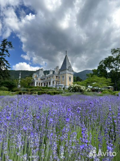 Дворцы Южного Берега