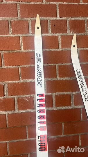 Беговые лыжи Germina