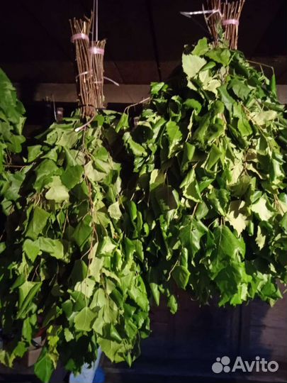 Веники для бани