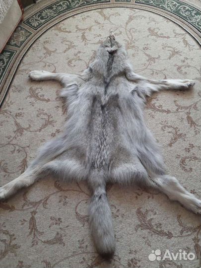 Шкура волка