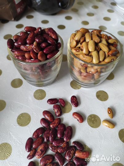 Семена укропа, кинзы, бобы, красной и бел. фасоли