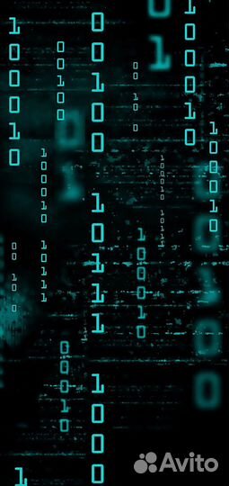 Требуется разработчик