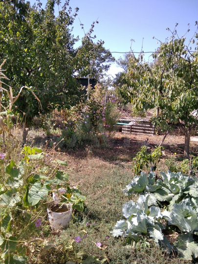 Участок 5 сот. (ИЖС)