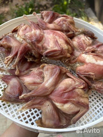 Вяленая перепелка