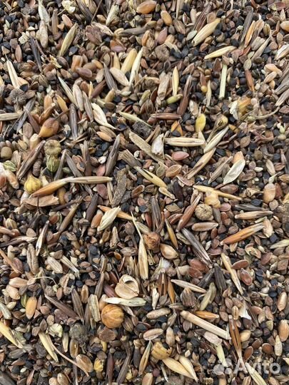 Зерносмесь для кур, голубей в мешках