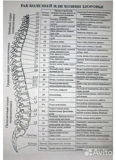 Вибро массажный пояс
