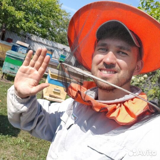 Перга пчелиная, Перга,пыльца,маточное молочко