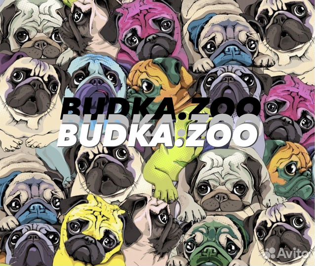 Обучение помощник грумера, грумер