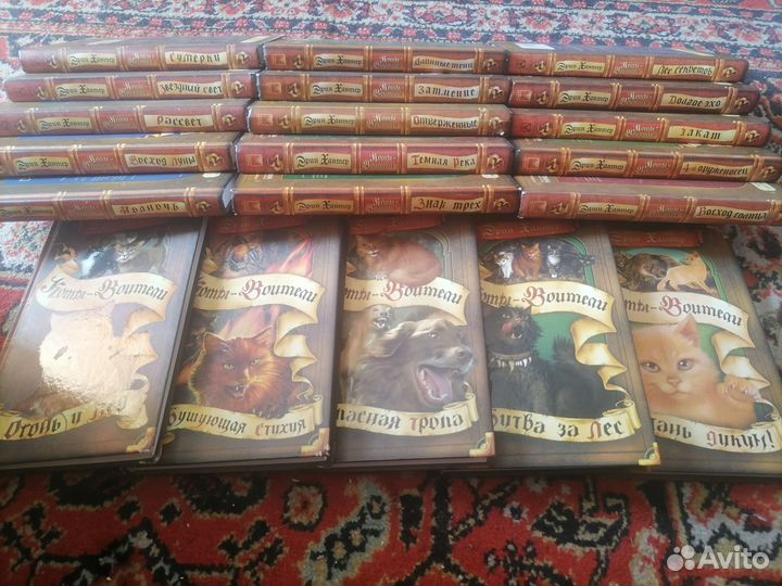 Книги коты воители