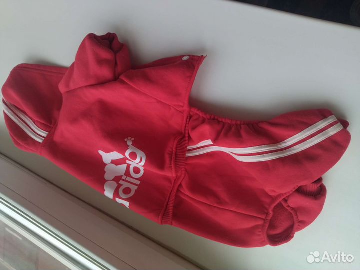 Одежда для собак мелких пород