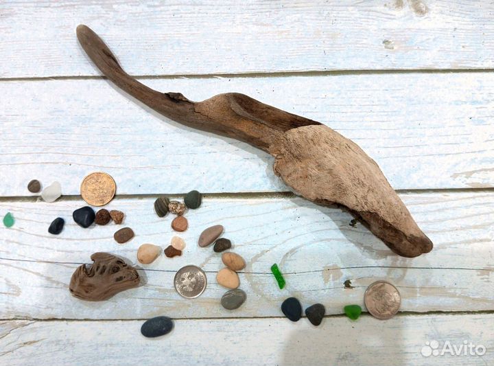 Коряги. Декор. Дрифтвуд