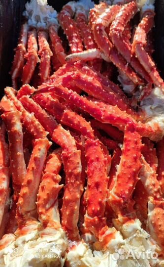 Конечности Камчатского Краба