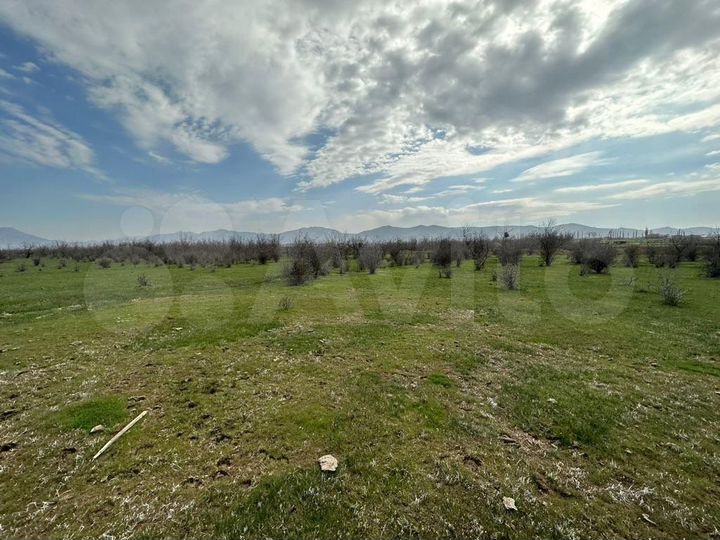 Участок 8 сот. (ИЖС)