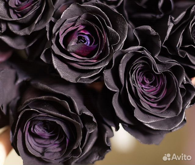 Защитная лента из биотана