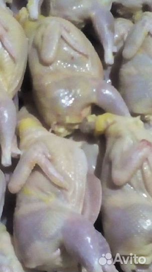 Мясо перепелов