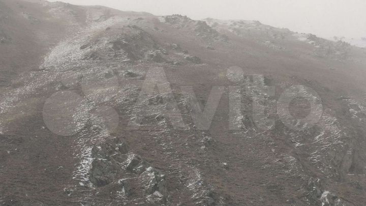 3-к. квартира, 75 м², 8/9 эт.