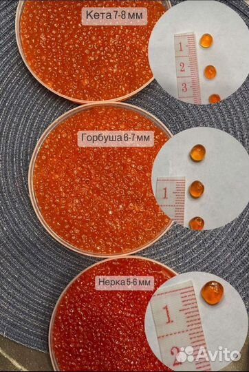 Красная икра 2023