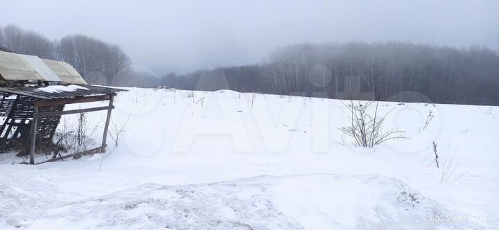 Участок 50 сот. (ИЖС)