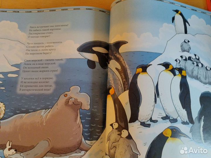 Книга моя первая география