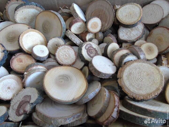 Торцевые спилы разных порд деревьев