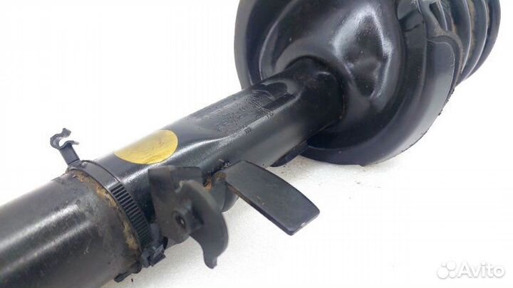 Амортизатор подвески правый Ford Focus 3 iqdb 2016