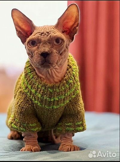 Свитер для кошки в наличии и на заказ