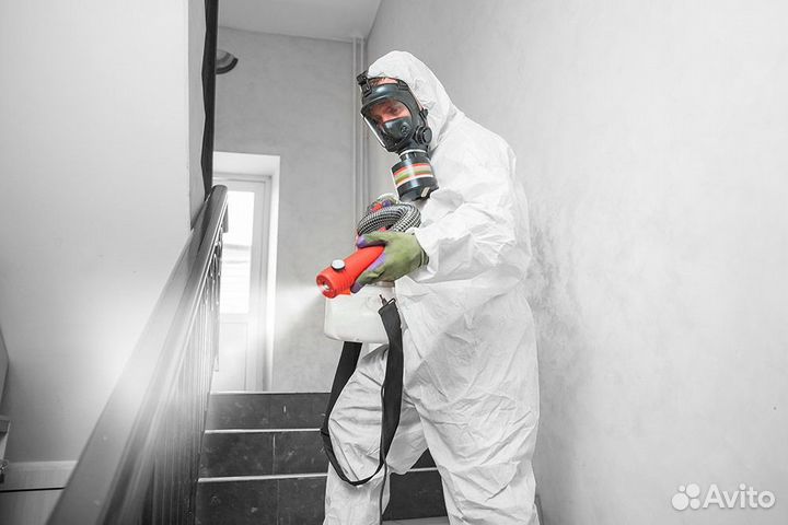 Уничтожение тараканов клопов клещей