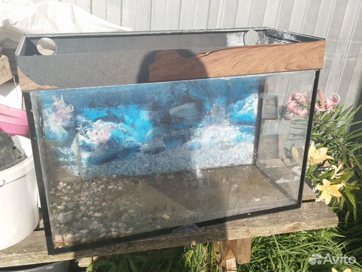 Аквариум без крышки