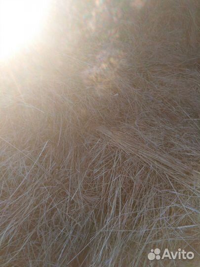 Сено в мешках