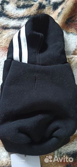 Толстовка для собак