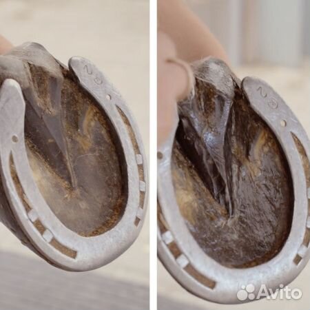 Мазь Hoof Original для копыт лошади 0,25 л Бельгия