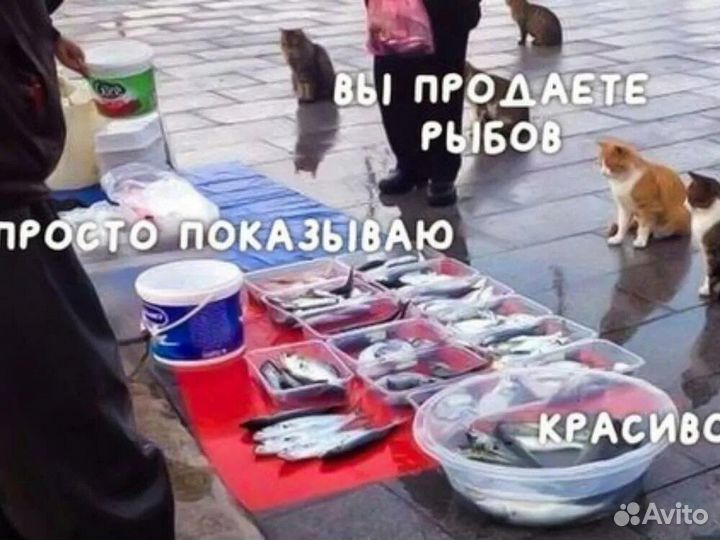 Рыба самая юркая 10шт