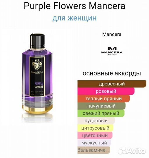 Mancera purple flowers