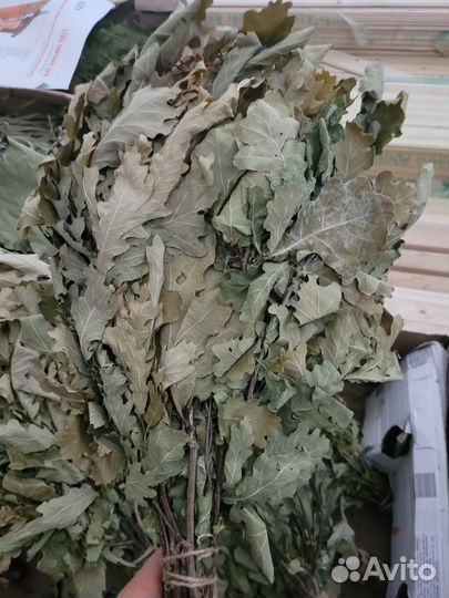 Березовые веники,пихта,дуб,эвкалипт,береза Веники