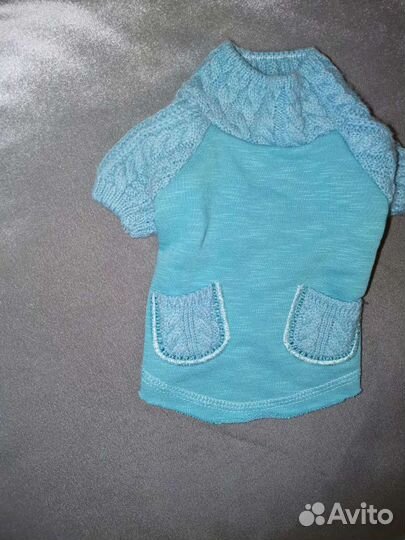 Вещи для маленькой собачки