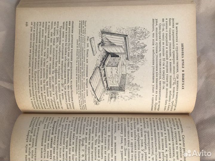 Книга Э Рут пчеловодство 1938 г