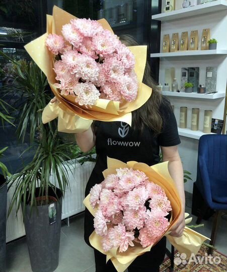 Хризантемы кустовые