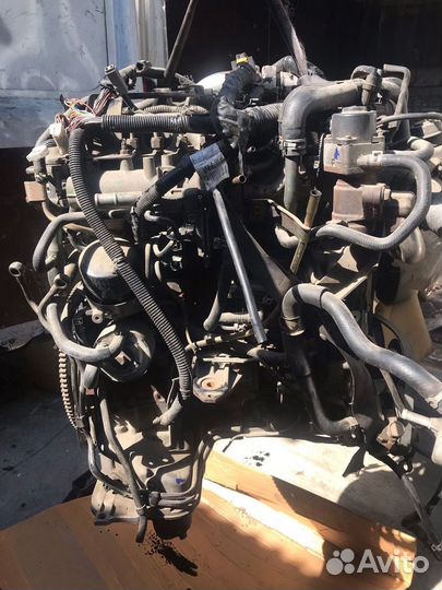 Двигатель Nissan Navara 2.5 turbo diesel YD25 2006