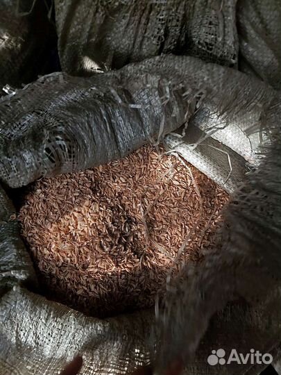 Рисовая шелуха