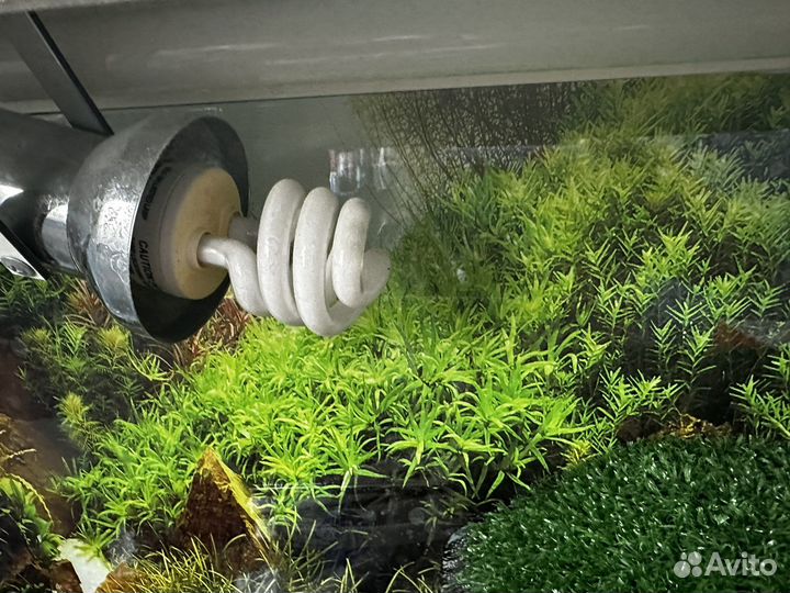 Террариум для красноухой черепахи