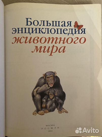Большая энциклопедия животного мира