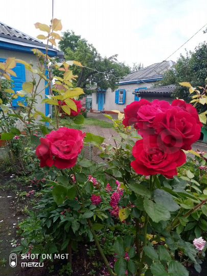 Дом 62,7 м² на участке 25 сот.