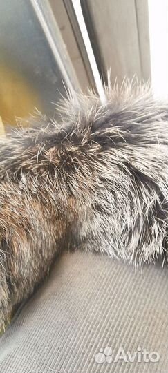 Меховой воротник черный