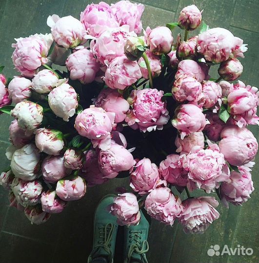 Букет пионов с беспл. доставкой