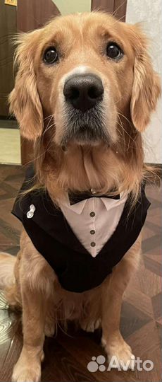 Пошив одежды