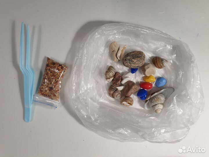 Муравьиная ферма